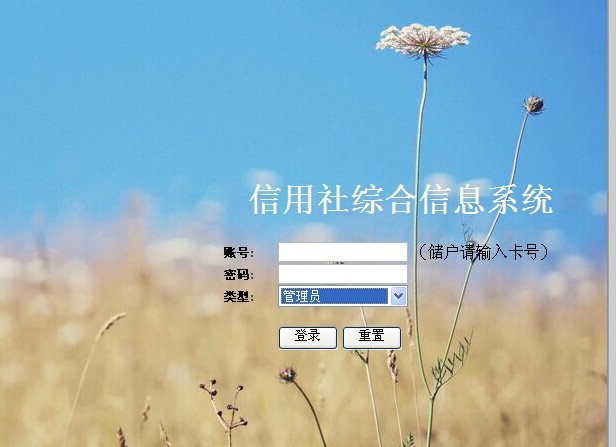 計算機(jī)畢業(yè)設(shè)計